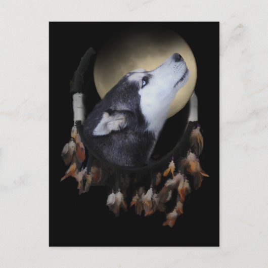 Dream catcher en blue eyed Husky Briefkaart (Voorkant)
