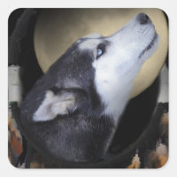 Dream catcher en blue eyed Husky