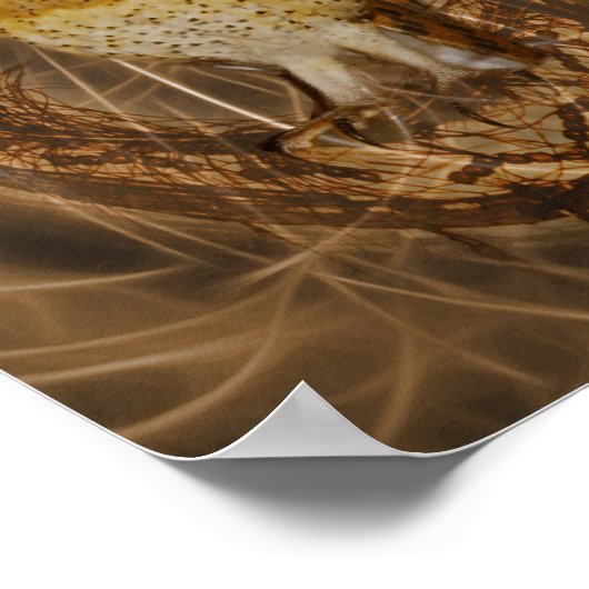 Dream catcher owl poster (Hoek)