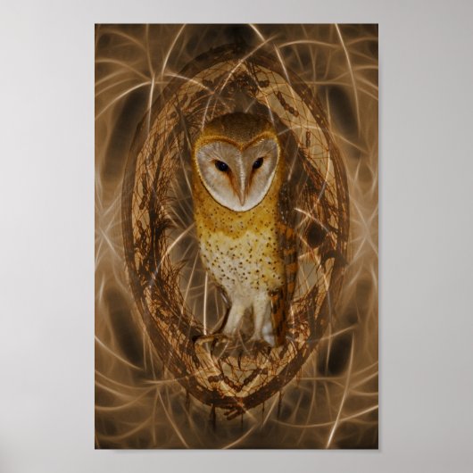Dream catcher owl poster (Voorkant)