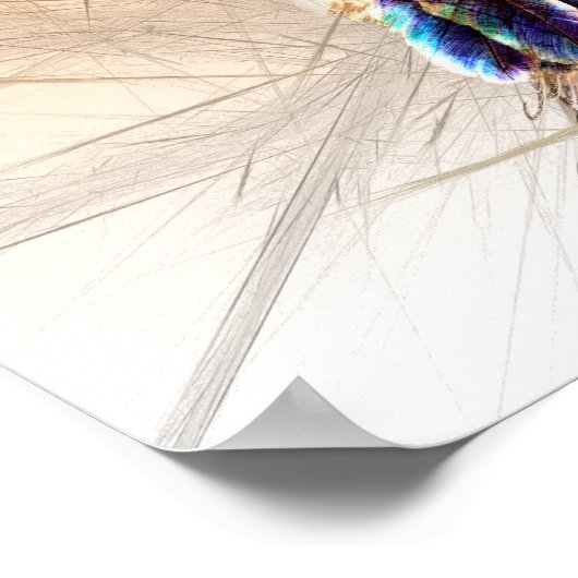 Dream Catcher Poster (Hoek)