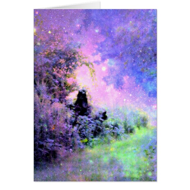 Dream Garden Light (Voorkant)