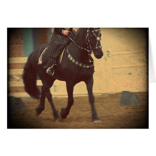 Dream Horse Friesian Dressage (Voorkant Horizontaal)
