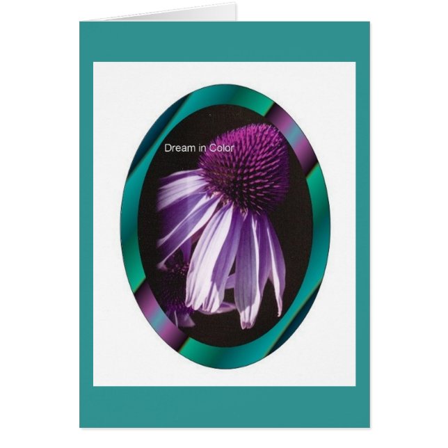 Dream in kleur (Voorkant)