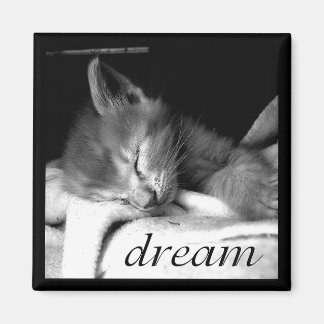 Dream Kitten - Magneet