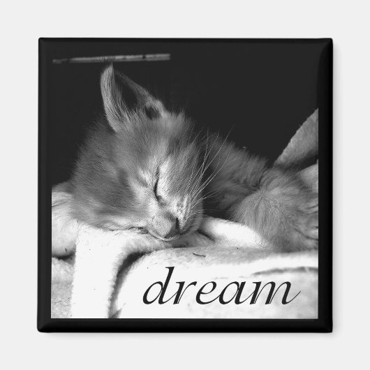 Dream Kitten - Magneet (Voorkant)
