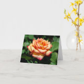 Dream Kom waar Roos Kaart (Gele Bloem)