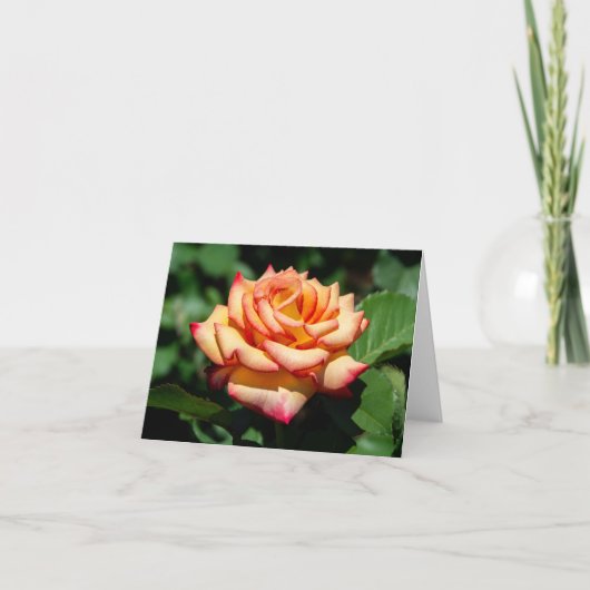 Dream Kom waar Roos Kaart (Voorkant)