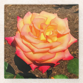 Dream komt uit True Roos #3 Glass Onderzetter