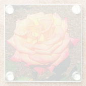 Dream komt uit True Roos #3 Glass Onderzetter (Achterkant)