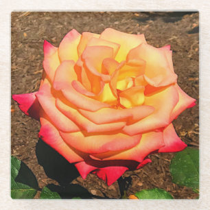 Dream komt uit True Roos #3 Glass Onderzetter Glazen Onderzetter