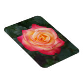 Dream komt uit waar Roos #1-1 Magnet Magneet (Rechterzijde)