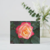 Dream komt uit waar Roos #1 Briefkaart (Staand voorkant)