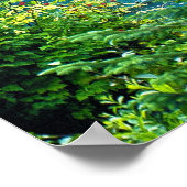 Dream Lake Alaska, Verenigde Staten & Bossen Foto Poster (Hoek)