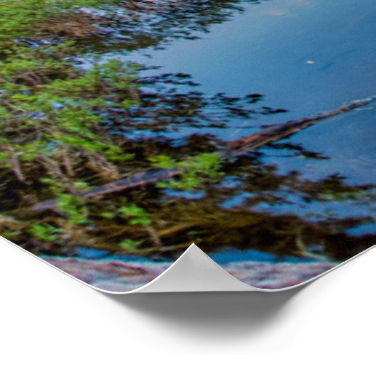 Dream Lake Landscape Poster (Hoek)