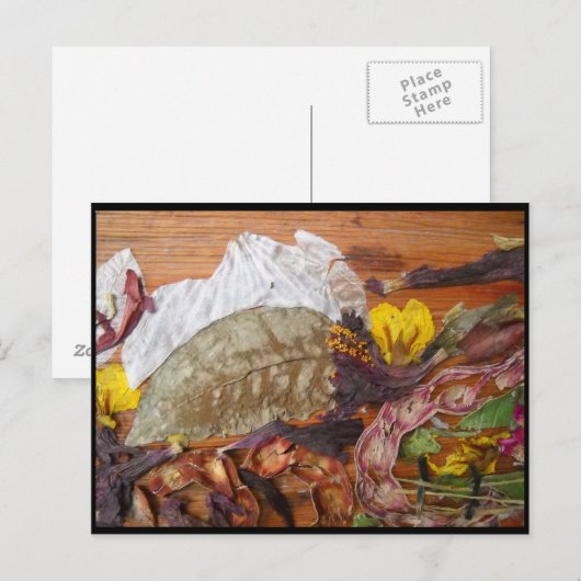 Dream-Landschap Briefkaart (Voorkant / Achterkant)