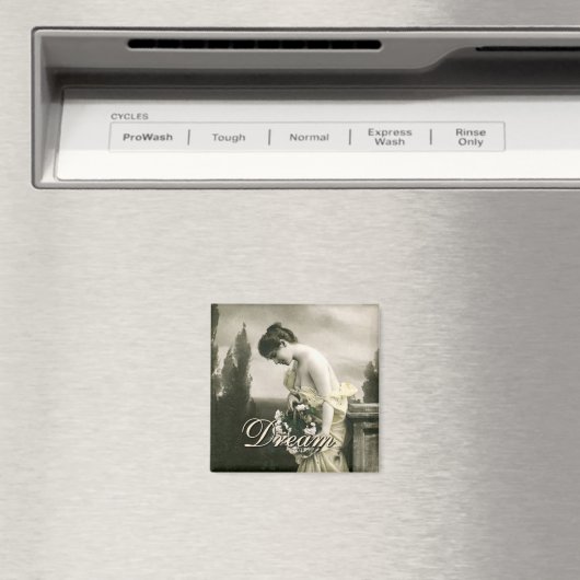 Dream Magneet (Insitu (Vaatwasser))