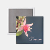 Dream Magnet (Voorkant / Achterkant)