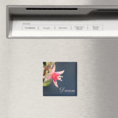 Dream Magnet (Insitu (Vaatwasser))