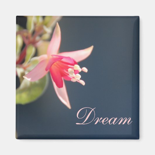 Dream Magnet (Voorkant)