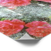 Dream of Rozen - Poster (Hoek)