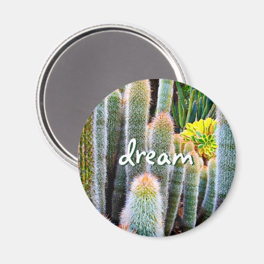 "Dream" oranje getipte fuzzy groene cactus foto Magneet (Voorkant / Achterkant)