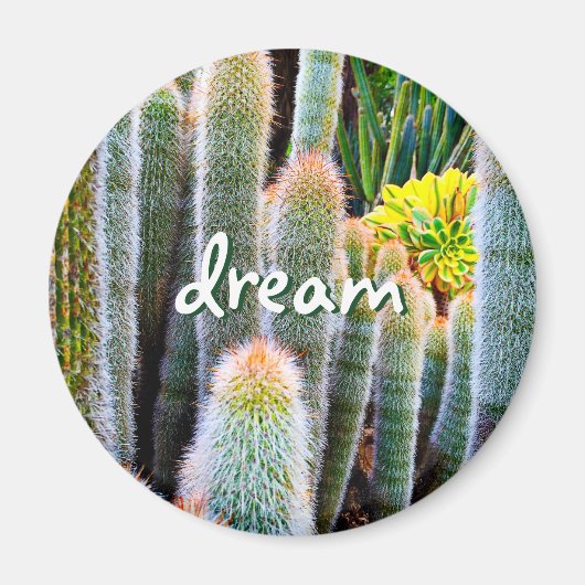"Dream" oranje getipte fuzzy groene cactus foto Magneet (Voorkant)