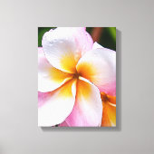 Dream Palette: franjipani flower Canvas Afdruk (Voorkant)