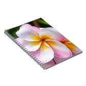 Dream Palette: Franjipani flower Notitieboek (Rechterzijde)