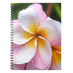 Dream Palette: Franjipani flower Notitieboek