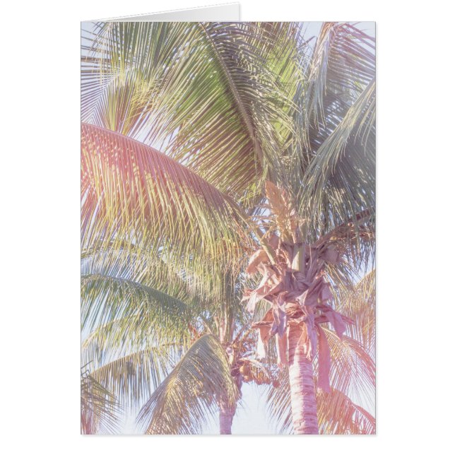 Dream Palm Tree (Voorkant)