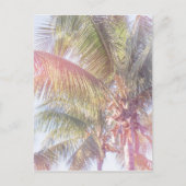 Dream Palm Tree Briefkaart (Voorkant)