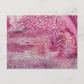 Dream Park Briefkaart (Voorkant)