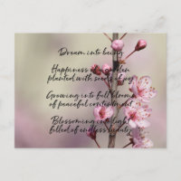 Dream Poem Cherry Blossom Flowers