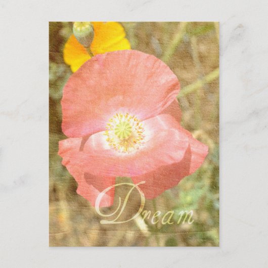 Dream Poppy Floral Briefkaart (Voorkant)