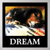 Dream Poster (Voorkant)