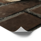 Dream & Protest | Urban Street Art Motivational Poster (Hoek)