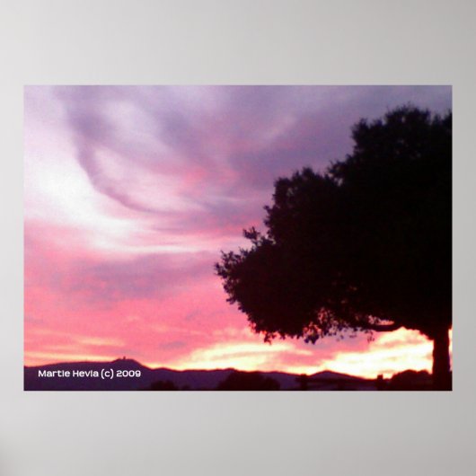 Dream Sunset Tree Poster (Voorkant)