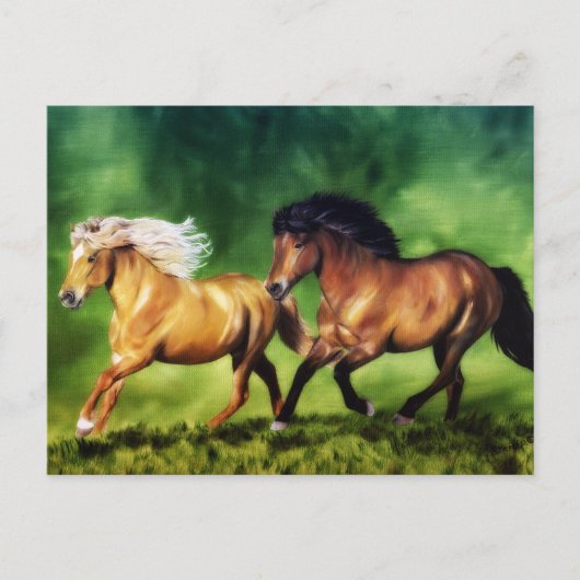 Dream Team-IJslandse paarden Briefkaart (Voorkant)