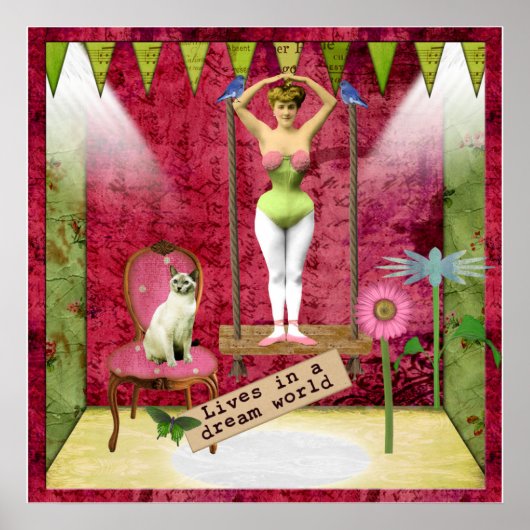 Dream World Funky Ballerina Veranderde Kunst Poster (Voorkant)