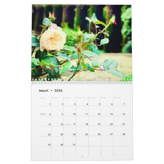 DreamerBee 2026 Garden Calendar Kalender (Mar 2026)