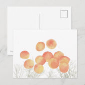 Dreaming abrikozen in de winter briefkaart (Voorkant / Achterkant)