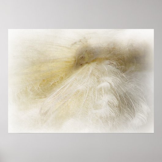 Dreaming in het wit poster (Voorkant)