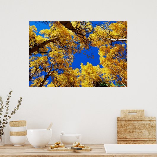 Dreaming in kleur poster (Keuken)