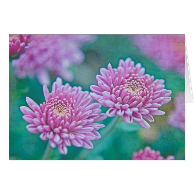 Dreaming in Mums (Voorkant Horizontaal)