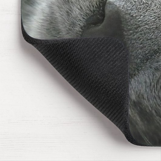 Dreaming kat muismat (Hoek)