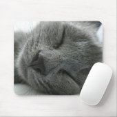 Dreaming kat muismat (Met muis)