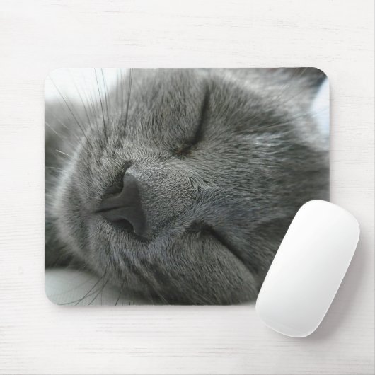 Dreaming kat muismat (Met muis)