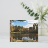 Dreaming op het Dock-Briefkaart Briefkaart (Staand voorkant)