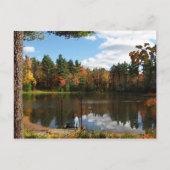 Dreaming op het Dock-Briefkaart Briefkaart (Voorkant)